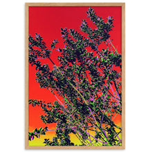 Load image into Gallery viewer, Elevation® Framed Paper Poster - Nowhere Deluxe
